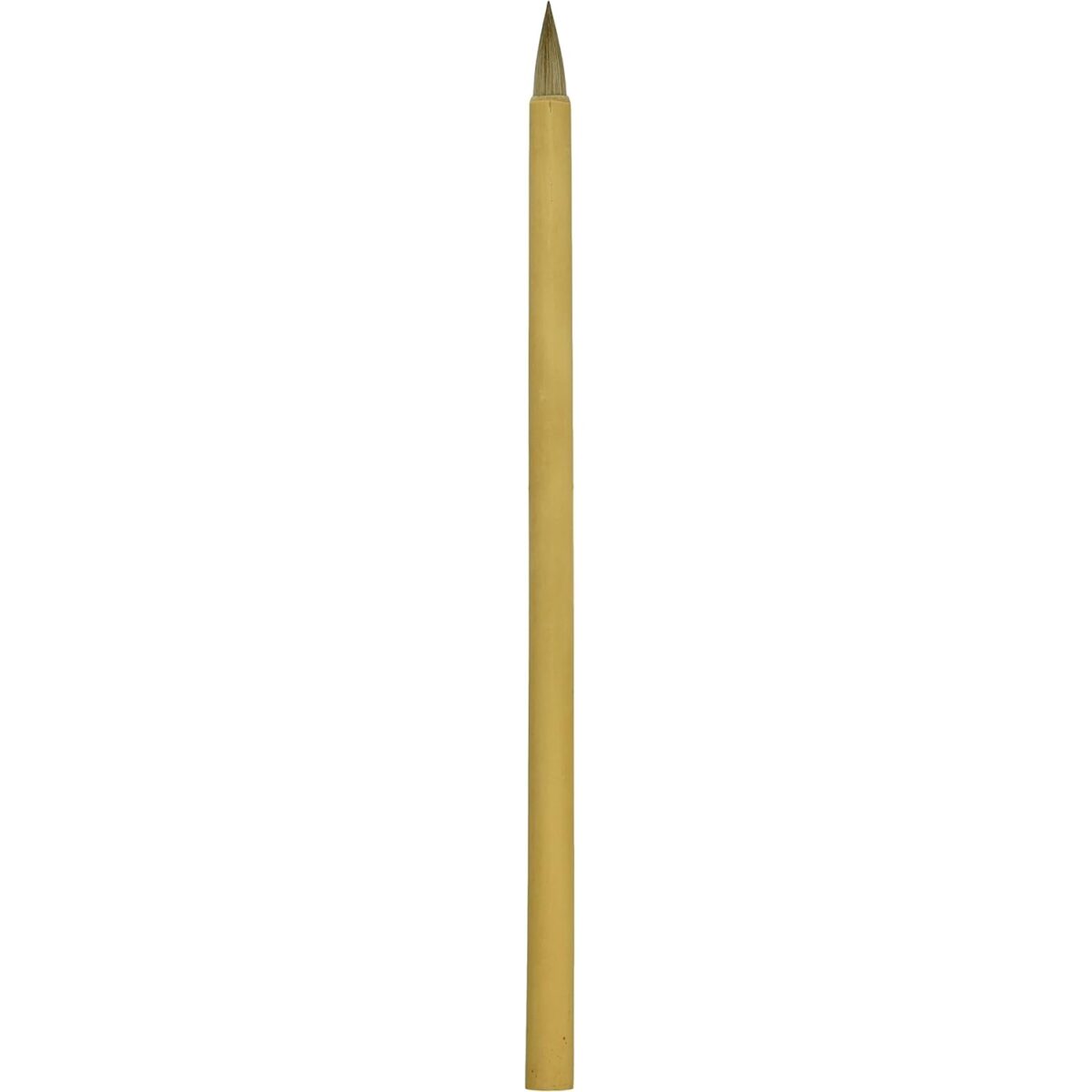 81403002