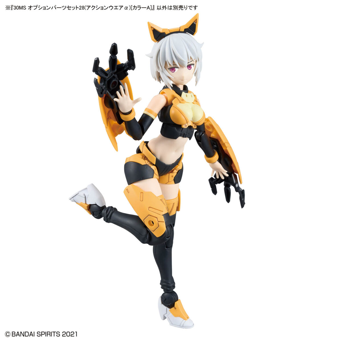 4573102725417