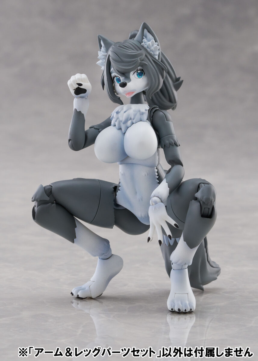 KO-02RGW